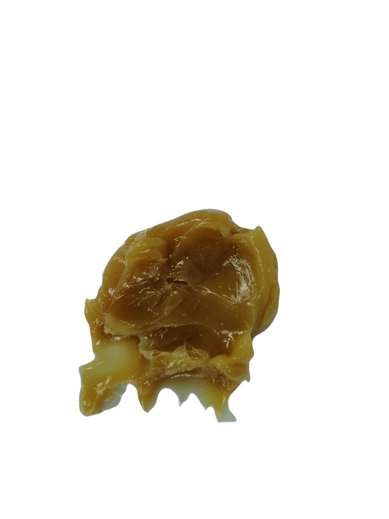 Q8 Rembrandt EP 2 - 400g 1